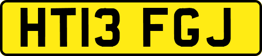 HT13FGJ
