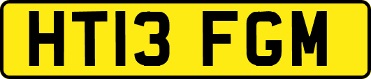 HT13FGM