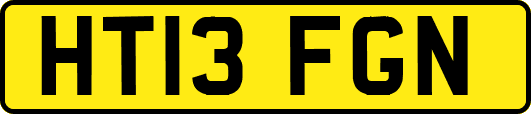 HT13FGN