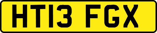 HT13FGX