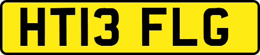 HT13FLG