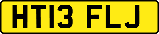 HT13FLJ