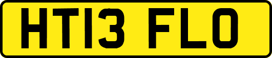 HT13FLO