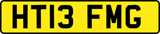 HT13FMG