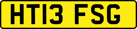 HT13FSG