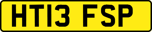 HT13FSP