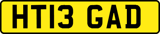 HT13GAD