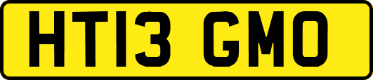 HT13GMO