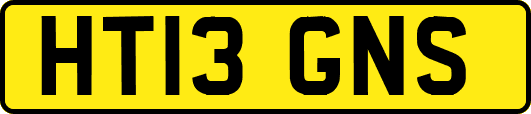 HT13GNS