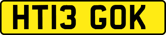 HT13GOK