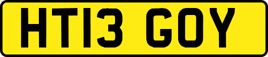 HT13GOY