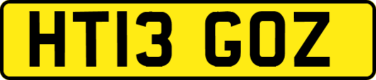 HT13GOZ