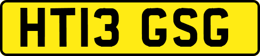 HT13GSG