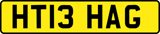 HT13HAG