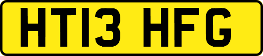 HT13HFG