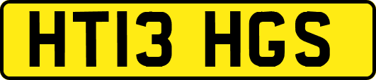 HT13HGS