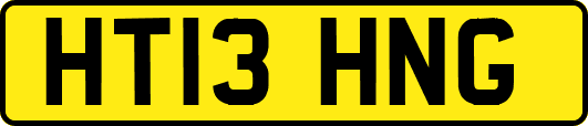 HT13HNG