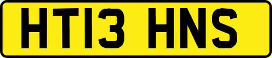 HT13HNS