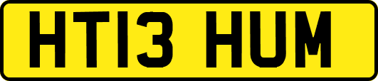 HT13HUM