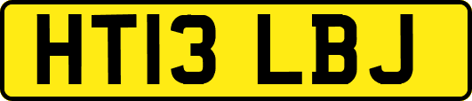 HT13LBJ