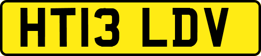HT13LDV