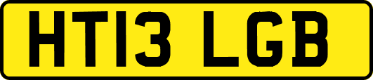 HT13LGB