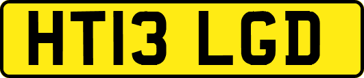 HT13LGD