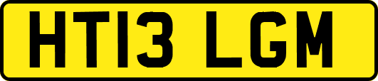 HT13LGM