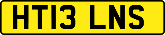 HT13LNS