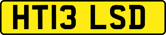 HT13LSD