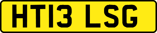 HT13LSG