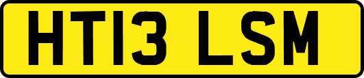 HT13LSM