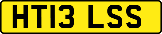 HT13LSS
