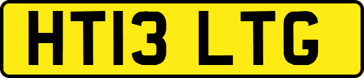 HT13LTG
