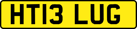 HT13LUG