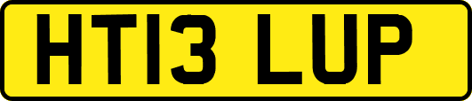 HT13LUP