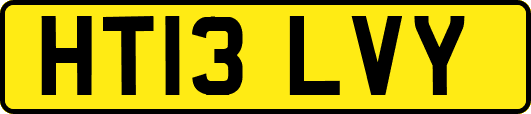 HT13LVY