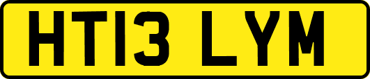 HT13LYM