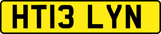 HT13LYN