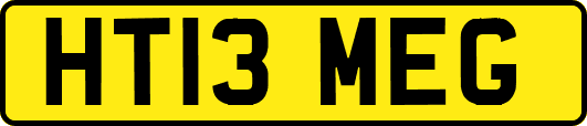 HT13MEG