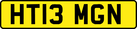 HT13MGN