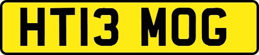 HT13MOG