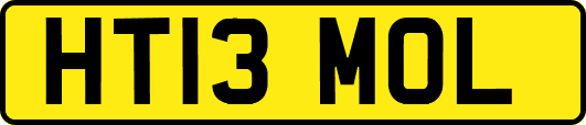 HT13MOL