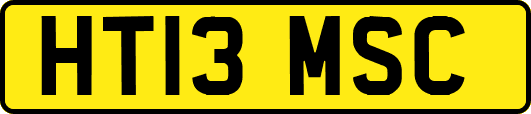 HT13MSC