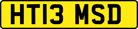 HT13MSD