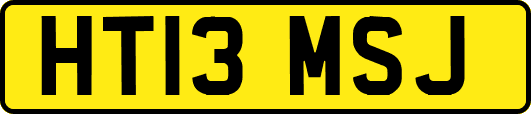 HT13MSJ