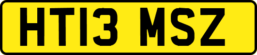 HT13MSZ