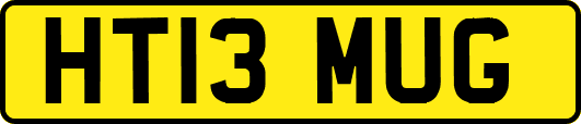 HT13MUG
