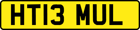 HT13MUL