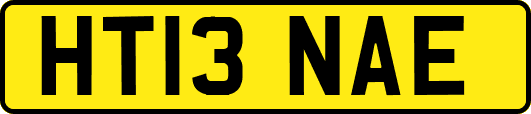 HT13NAE